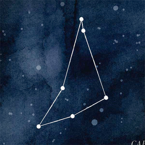 Capricorn Constellation Dell Latitude Skin