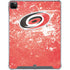 NHL Carolina Hurricanes Frozen iPad Cases