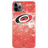 NHL Carolina Hurricanes Frozen iPhone Cases