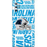 NFL Carolina Panthers - Blast Galaxy Note 10 Plus Skin