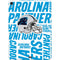 NFL Carolina Panthers - Blast Apple iPad Air Skin