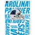 NFL Carolina Panthers - Blast Apple iPad Air Skin