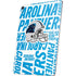 NFL Carolina Panthers - Blast Apple iPad Air Skin