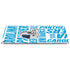 NFL Carolina Panthers - Blast Apple iPad Air Skin