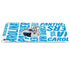NFL Carolina Panthers - Blast iPad Pro 13in M4 (2024) Skin