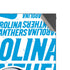NFL Carolina Panthers - Blast XBox Series X Digital Edition Console Skin