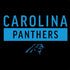 NFL Carolina Panthers Black Performance Series PS4 Console and Controller Bundle Skin