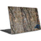 NFL Carolina Panthers Realtree AP Camo Dell XPS Skin