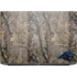 NFL Carolina Panthers Realtree AP Camo HP ZBook Fury 16 G10 Skin
