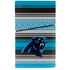 NFL Carolina Panthers Trailblazer PS5 Slim Digital Edition Console Skin