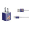 Disney Encanto Casita! iPhone Charger (5W USB) Skin