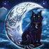 Celtic Black Cat by Brigid Ashwood MacBook Skins