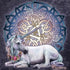 Celtic Unicorn by Brigid Ashwood Dell Latitude Skin