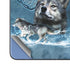 Celtic Wolf by Brigid Ashwood Galaxy Z Fold5 5G Skin