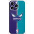 NBA Charlotte Hornets Canvas iPhone 16 Pro Skin