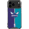 NBA Charlotte Hornets Canvas iPhone 17 Pro Max Clear Case