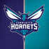 NBA Charlotte Hornets Canvas Moto G6 Skin