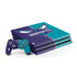 NBA Charlotte Hornets Canvas PlayStation PS4 Skins