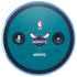 NBA Charlotte Hornets Distressed Amazon Echo Skin