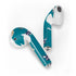 NBA Charlotte Hornets Distressed Apple AirPods Skin