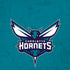 NBA Charlotte Hornets Distressed iPhone XS Max Skin