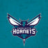 NBA Charlotte Hornets Distressed iPhone XS Pro Case