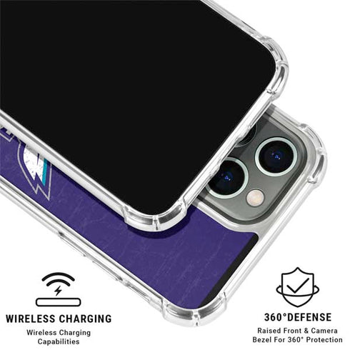 NBA Charlotte Hornets Distressed-Purple iPhone 16 Pro Max Clear Case