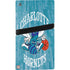 NBA Charlotte Hornets Hardwood Classics PS5 Pro Bundle Skin