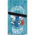 NBA Charlotte Hornets Hardwood Classics PS5 Pro Bundle Skin
