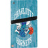 NBA Charlotte Hornets Hardwood Classics PS5 Pro Console Skin
