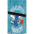 NBA Charlotte Hornets Hardwood Classics PS5 Pro Console Skin