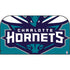 NBA Charlotte Hornets Large Logo Nintendo Switch 2 (2025) with Joy-Con Skin