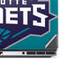 NBA Charlotte Hornets Large Logo Dell Precision Skin