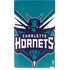 NBA Charlotte Hornets Large Logo PS5 Slim Digital Edition Console Skin