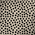 Cheetah Spots Dell Latitude Skin