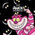 Disney Alice in Wonderland Cheshire Cat Otterbox Commuter Galaxy Skin