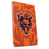 NFL Chicago Bears Double Vision Apple iPad Skin