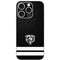 NFL Chicago Bears Shutout iPhone 16 Pro Skin
