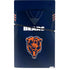 NFL Chicago Bears Team Jersey PS5 Slim Digital Edition Console Skin