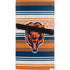 NFL Chicago Bears Trailblazer PS5 Pro Bundle Skin
