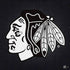 NHL Chicago Blackhawks Black Background PS4 Console and Controller Bundle Skin