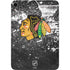 NHL Chicago Blackhawks Frozen Apple iPad Mini Skin