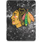 NHL Chicago Blackhawks Frozen Apple iPad Pro Skin