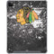 NHL Chicago Blackhawks Frozen iPad Cases