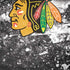 NHL Chicago Blackhawks Frozen iPhone XS Max Skin