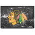 NHL Chicago Blackhawks Frozen Dell Latitude Skin