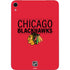 NHL Chicago Blackhawks Lineup Apple iPad Mini Skin