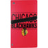 NHL Chicago Blackhawks Lineup PS5 Pro Disk Bundle Skin