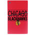 NHL Chicago Blackhawks Lineup PS5 Slim Digital Edition Console Skin
