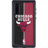 NBA Chicago Bulls Canvas Galaxy Cases